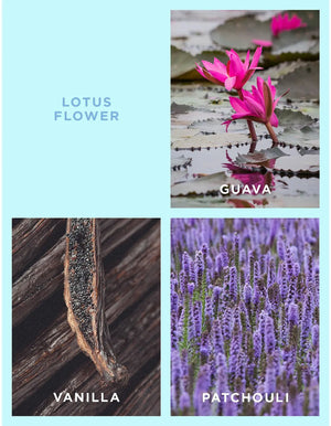 
            
                Load image into Gallery viewer, Lotus flower metro candle ecoya Lotus Flower Metro Candle (270g) by Ecoya Style House Fashion
            
        