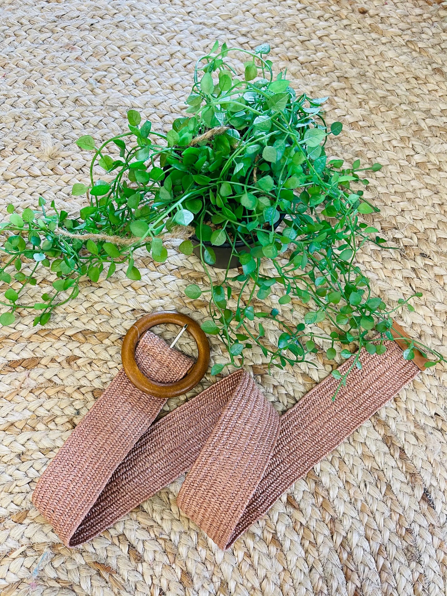 Stella Stretch Belt ~ Wide Rose (Large Buckle) Style House Fashion